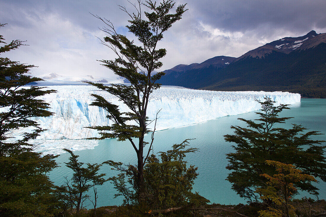Perito Moreno Gletscher, Lago Argentino, Nationalpark Los Glaciares, bei El Calafate, Patagonien, Argentinien