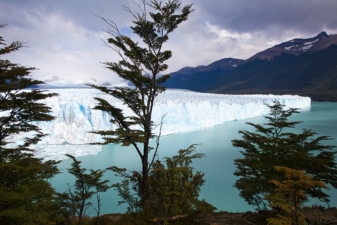 Perito Moreno glacier, Lago Argentino, Los Glaciares National Park, near El Calafate, Patagonia, Argentina