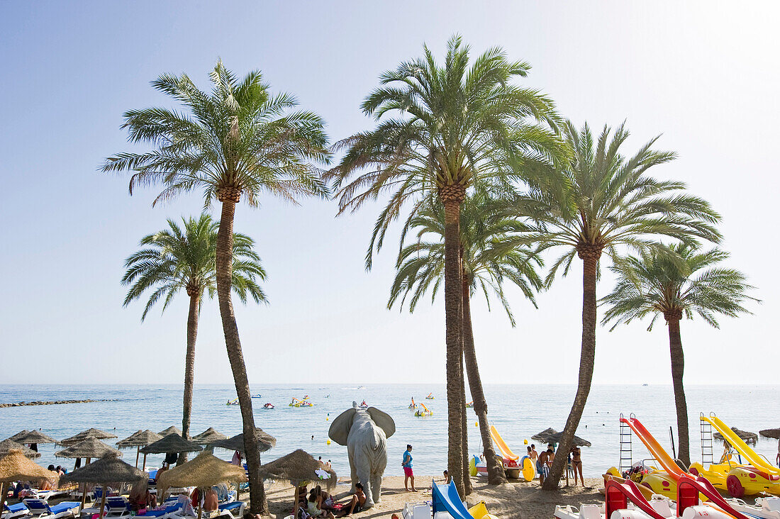 Palm trees on the beach in the sunlight, Marbella, Andalusia, Spain, Europe