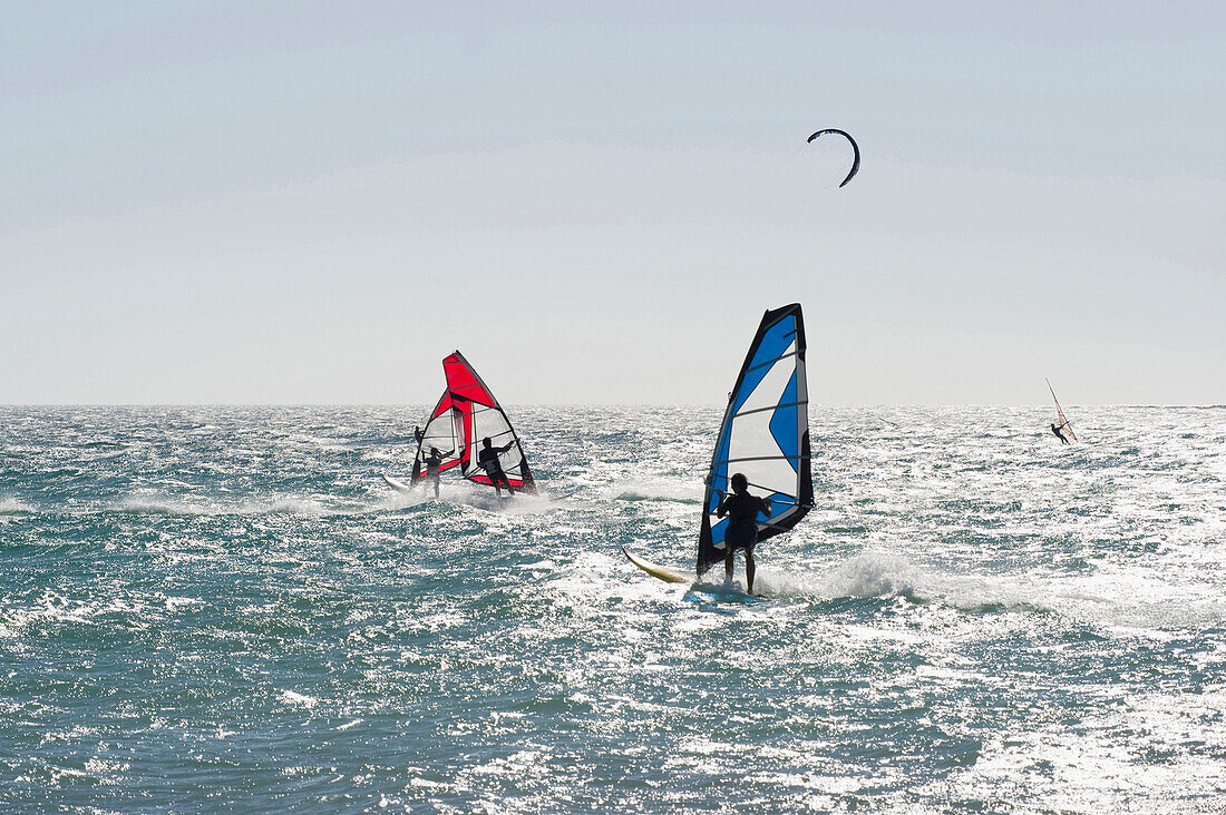 Sail boarders and kite boarder near Tarifa, Andalusia, Spain, Europe