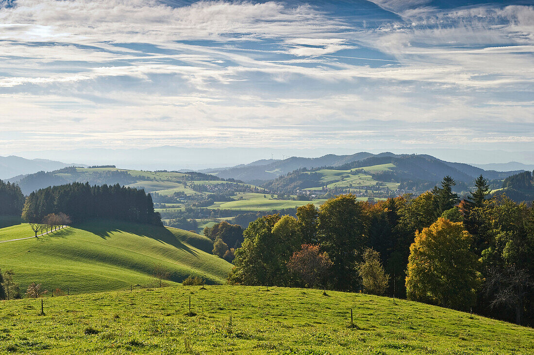 Idyllic landscape in the sunlight, Black Forest, Baden-Wuerttemberg, Germany, Europe