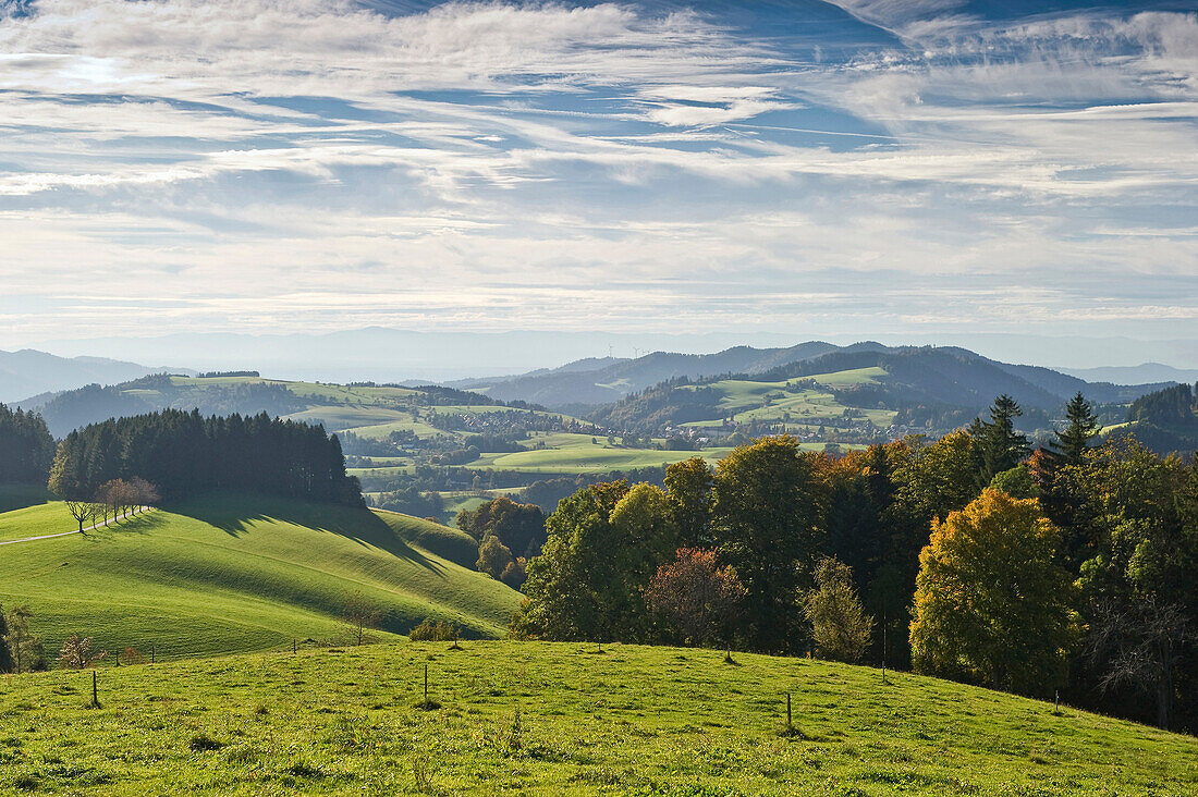Idyllische Landschaft im Sonnenlicht, Schwarzwald, Baden-Württemberg, Deutschland, Europa