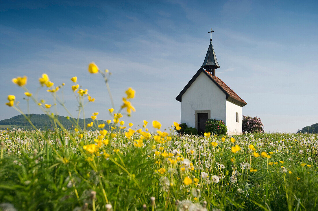Blick auf Saalenberg Kapelle im Frühling, Hexental, Schwarzwald, Baden-Württemberg, Deutschland, Europa