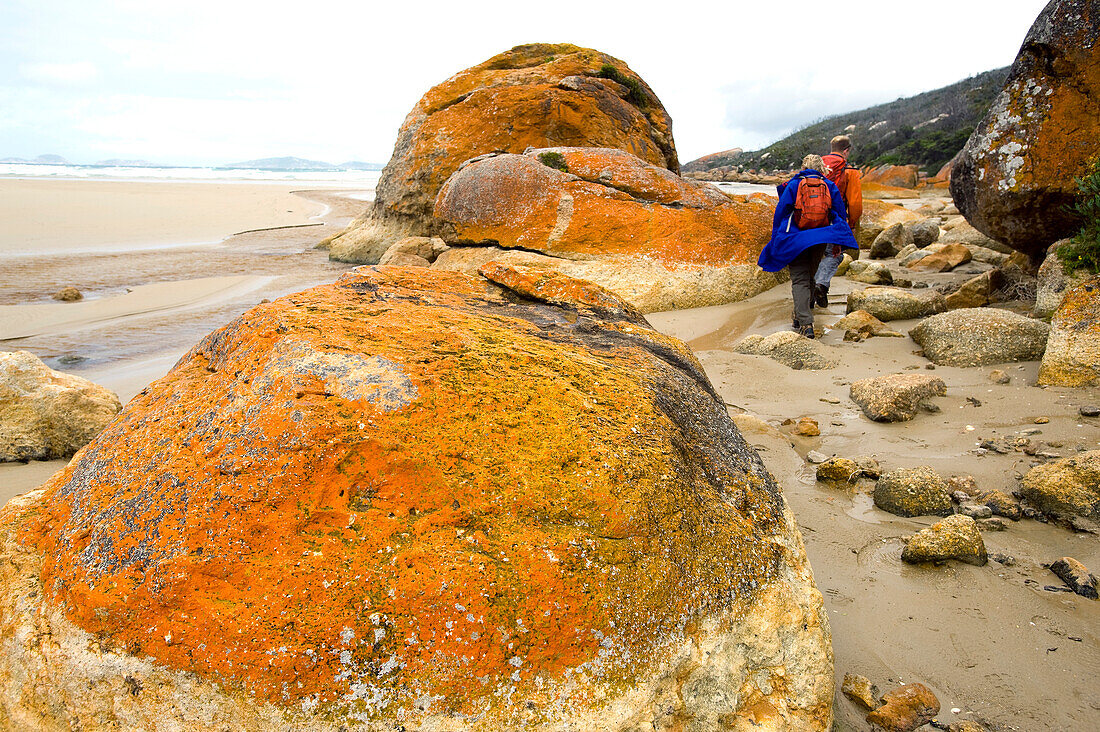 Granitfelsen an der Oberon Bay, Wilsons Promontory National Park, Victoria, Australien