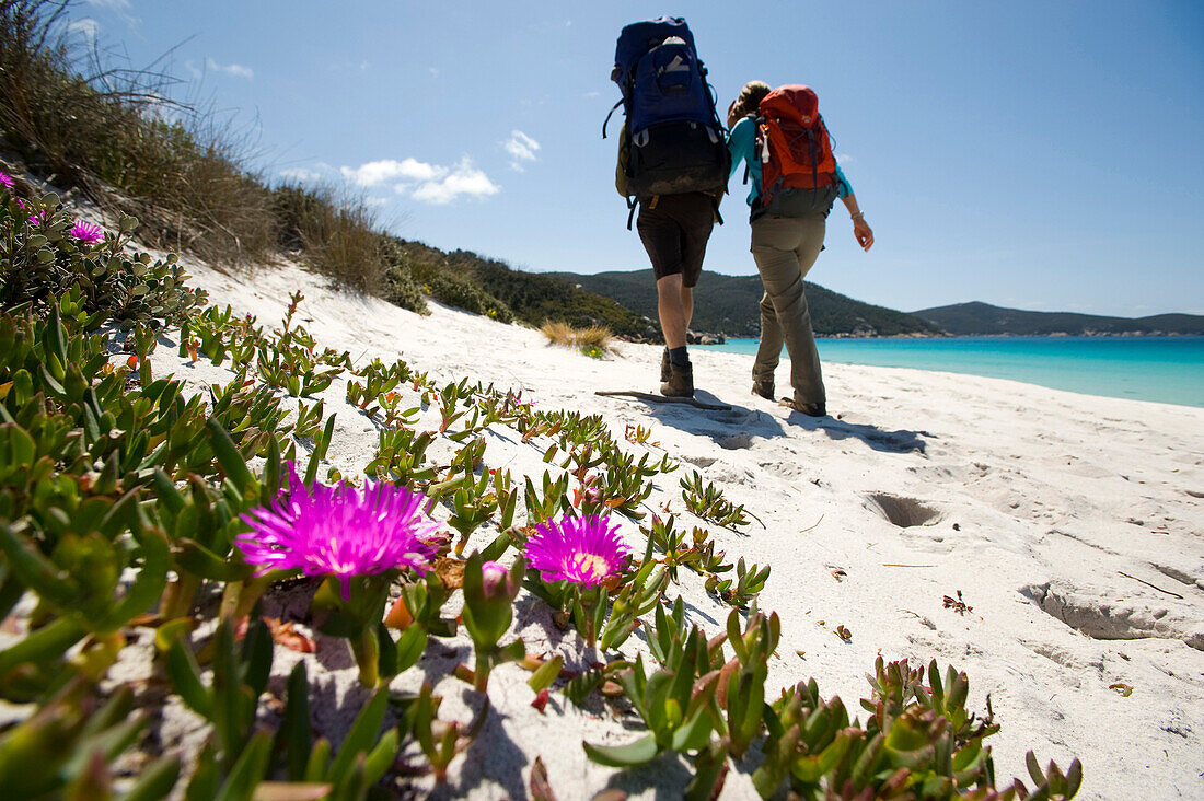 Two hikers on the beach, Waterloo Bay, Wilsons Promontory National Park, Victoria, Australia