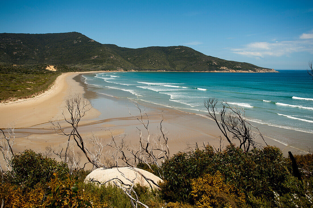 Oberon Bay, Wilsons Promontory National Park, Victoria, Australien