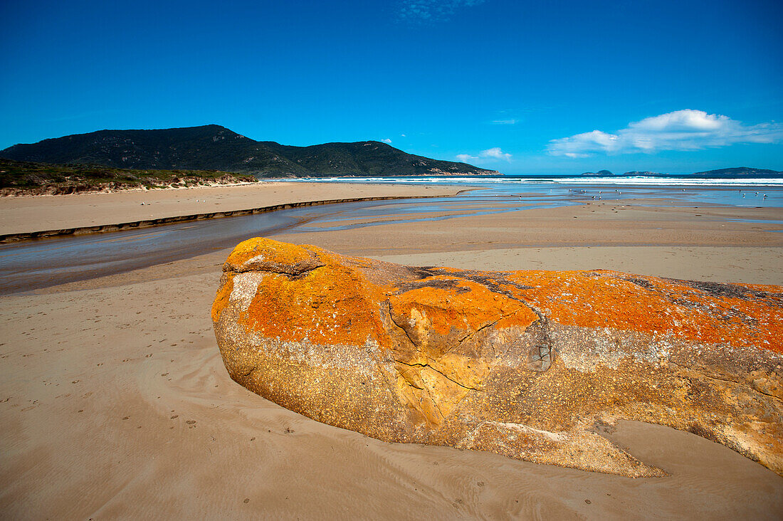 Oberon Bay, Wilsons Promontory National Park, Victoria, Australia