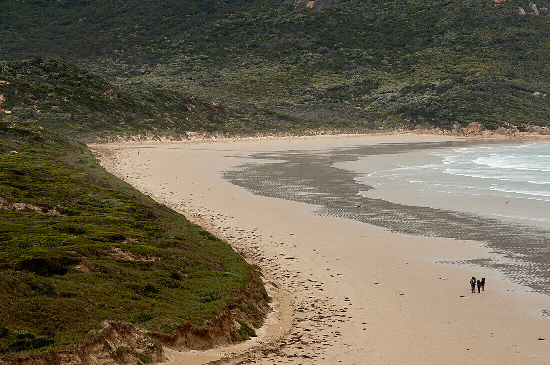 Oberon Bay, Wilsons Promontory National Park, Victoria, Australia