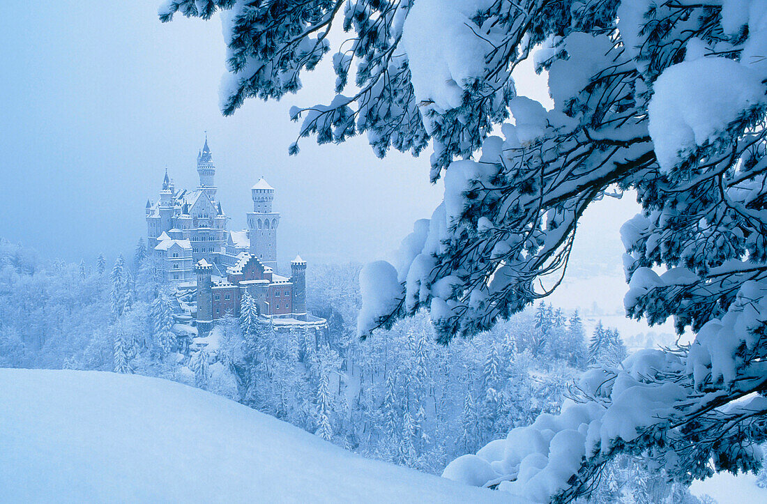 Snowy Neuschwanstein Castle in winter, East Allgaeu, Germany, Europe