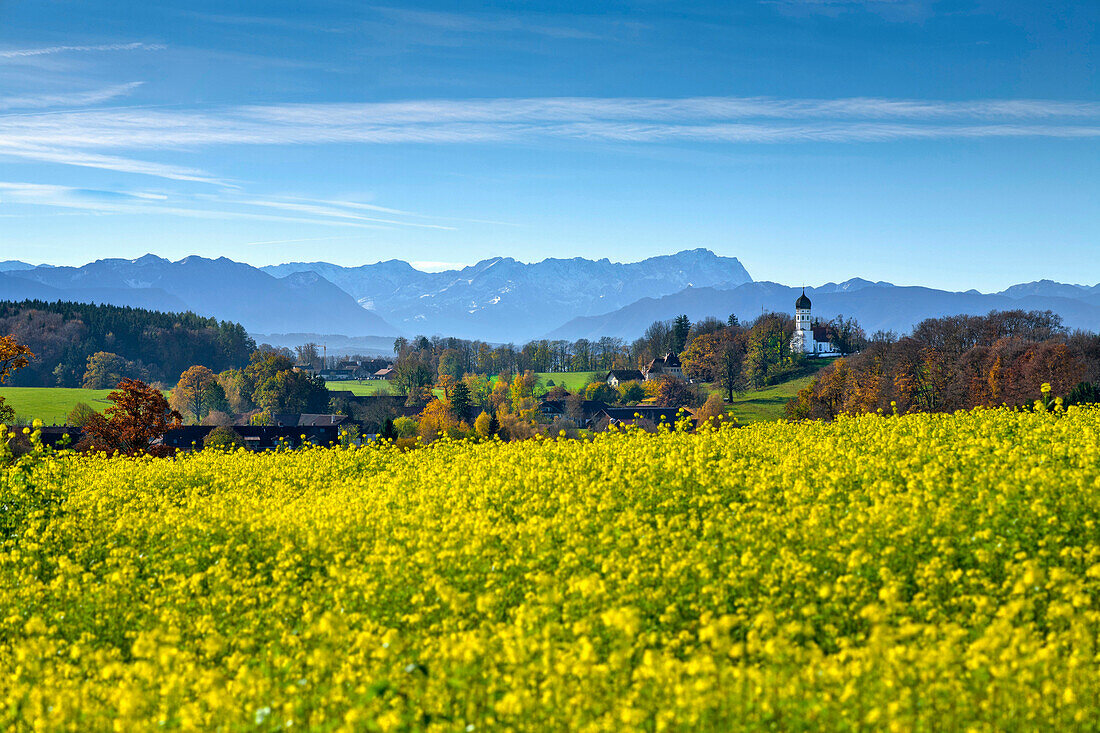 Blick auf Holzhausen und Zugspitze, Oberbayern, Deutschland, Europa