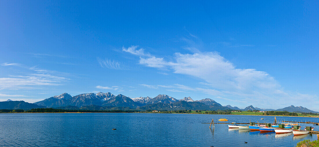 Blick auf den Hopfensee im Sonnenlicht, Ostallgäu, Deutschland, Europa