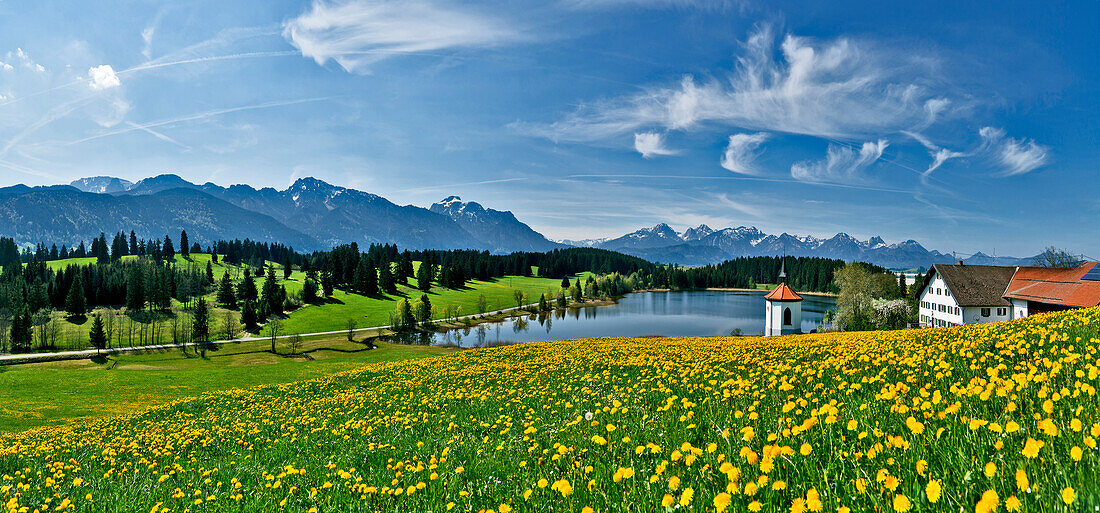 Blick von Hegratsried auf Tegelberg, Säuling und Tannheimer Berge, Ostallgäu, Deutschland, Europa