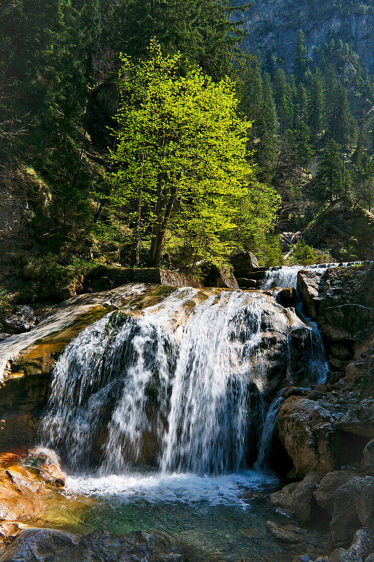 Waterfall at Poellacht gorge, East Allgaeu, Germany, Europe