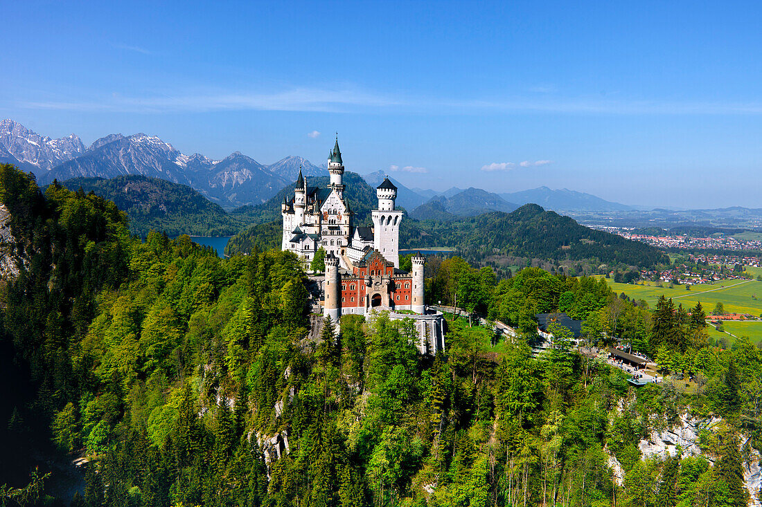 View of Neuschwanstein Castle with Tannheimer mountains in the background, East Allgaeu, Germany, Europe