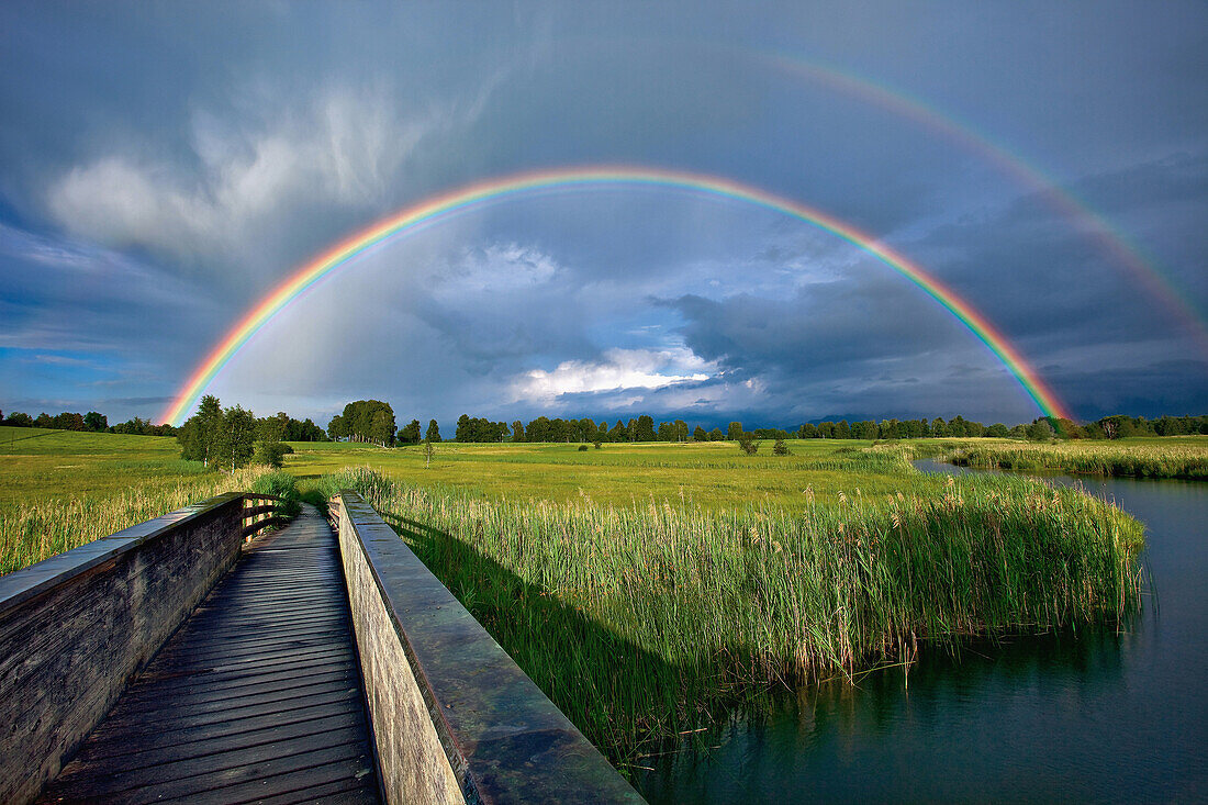 Rainbow above meadow and trees at lake Staffelsee, Upper Bavaria, Germany, Europe