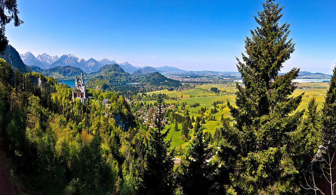 Blick auf Schloss Neuschwanstein mit Tannheimer Bergen im Hintergrund, Ostallgäu, Deutschland, Europa