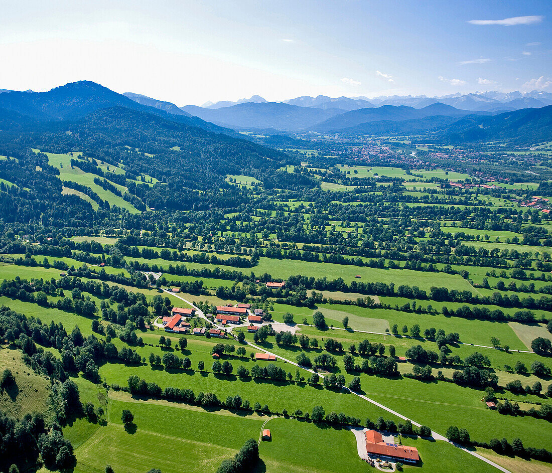 High angle view of rows of trees in the sunlight, Province of Bad Toelz, Upper Bavaria, Germany, Europe