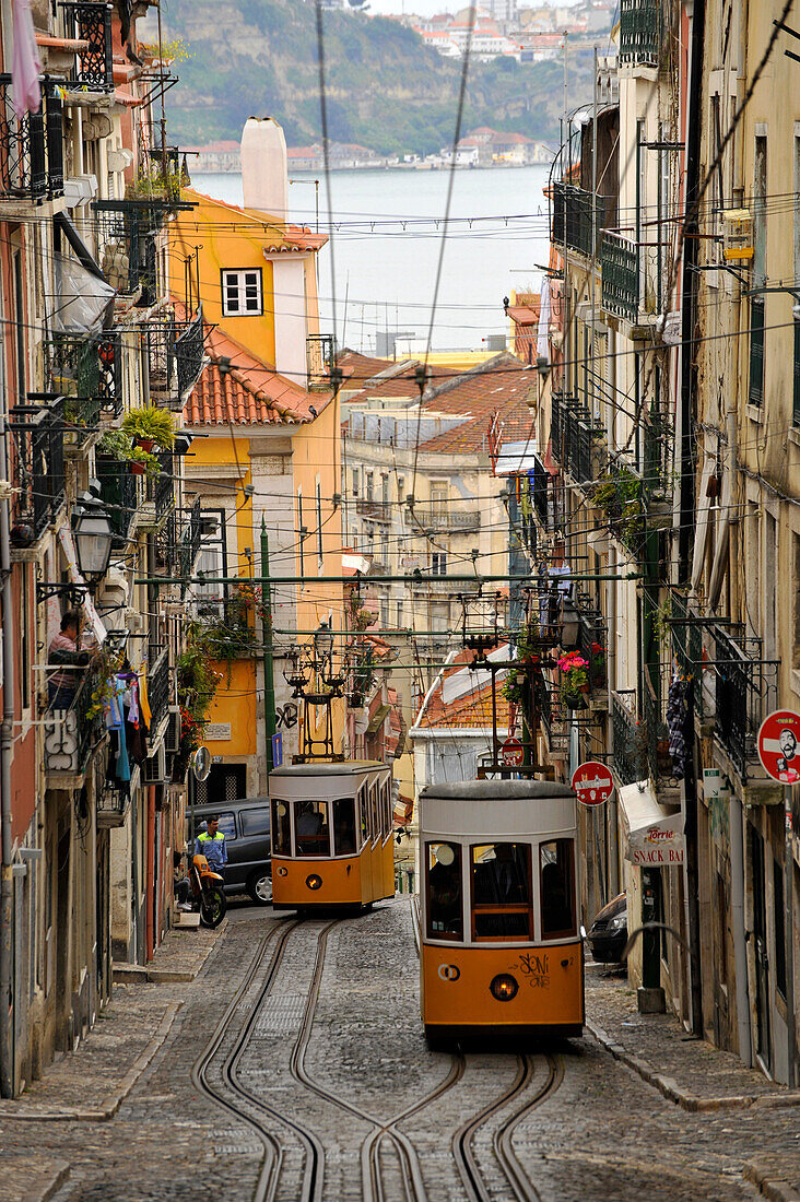 Elevador da Bica, Strassenbahnen auf steiler Strasse, Lissabon, Portugal, Europa