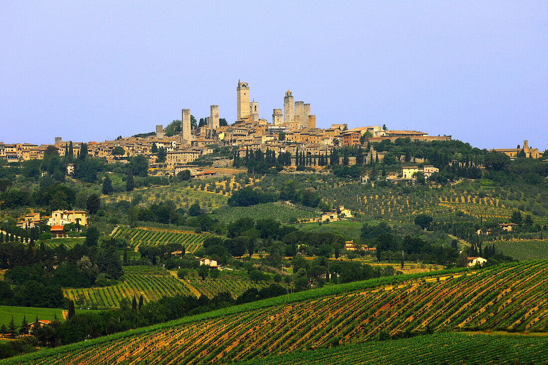 View over vineyards to San Gimignano, Tuscany, Italy