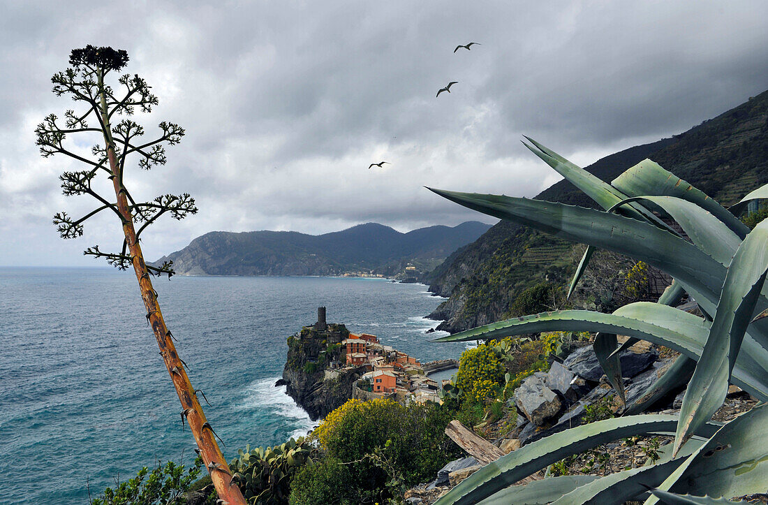 View of rocky coast and the fishing village Vernazza, Cinque Terre, La Spezia, Liguria, Italy, Europe