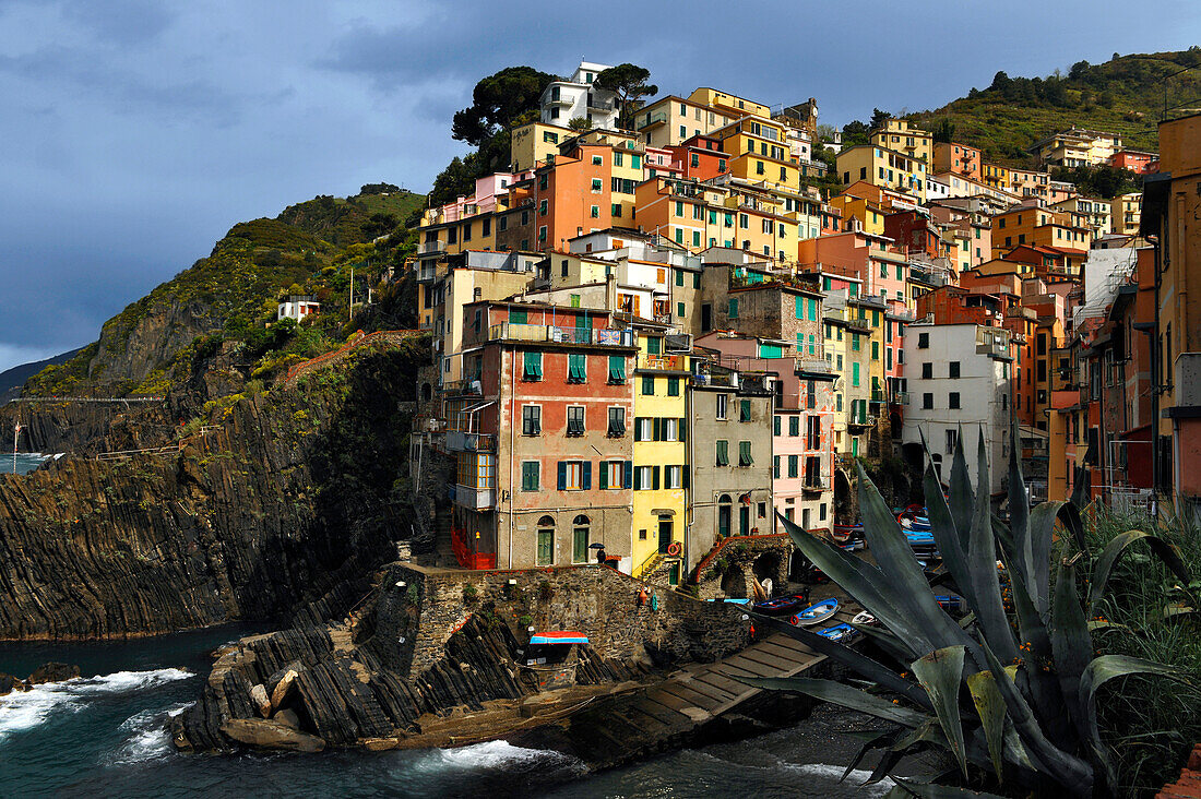 Bunte Häuser an der Küste im Sonnenlicht, Riomaggiore, Cinque Terre, Ligurien, Italien, Europa