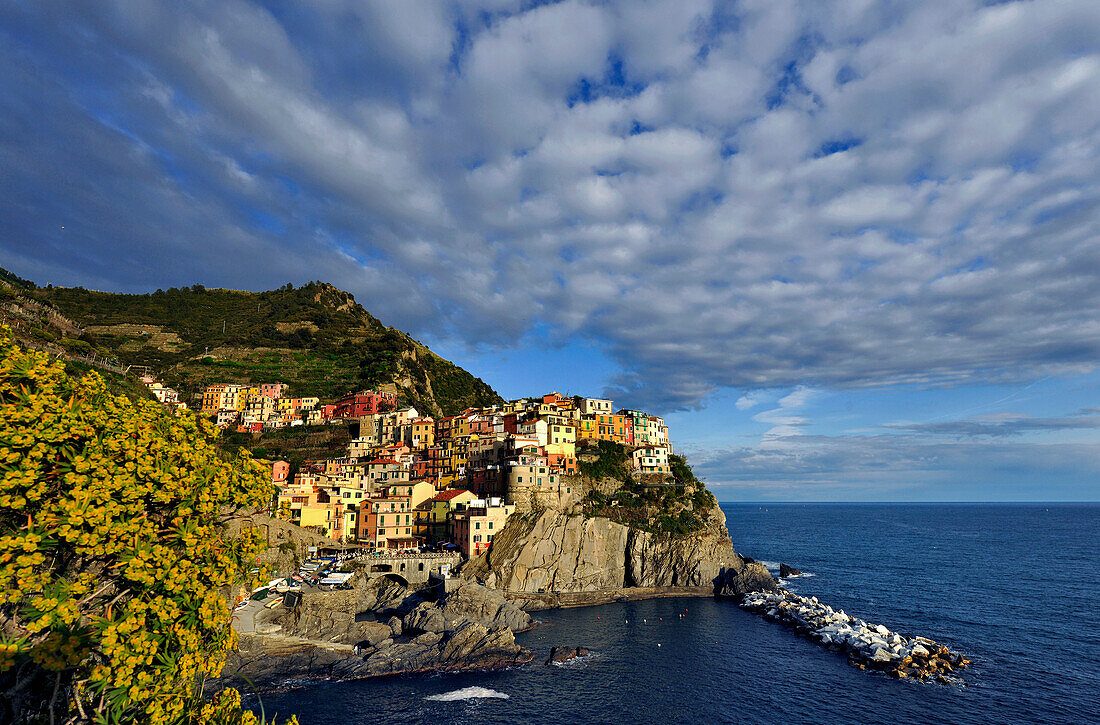 View of coast area and the houses of Manarola, Cinque Terre, La Spezia, Liguria, Italy, Europe
