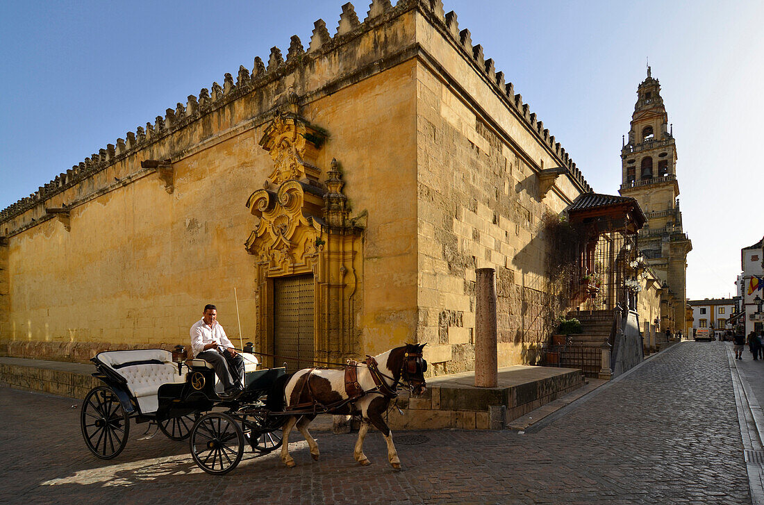 Horse drawn carriage in front of the cathedral La Mezquita, Cordoba, Andalusia, Spain, Europe