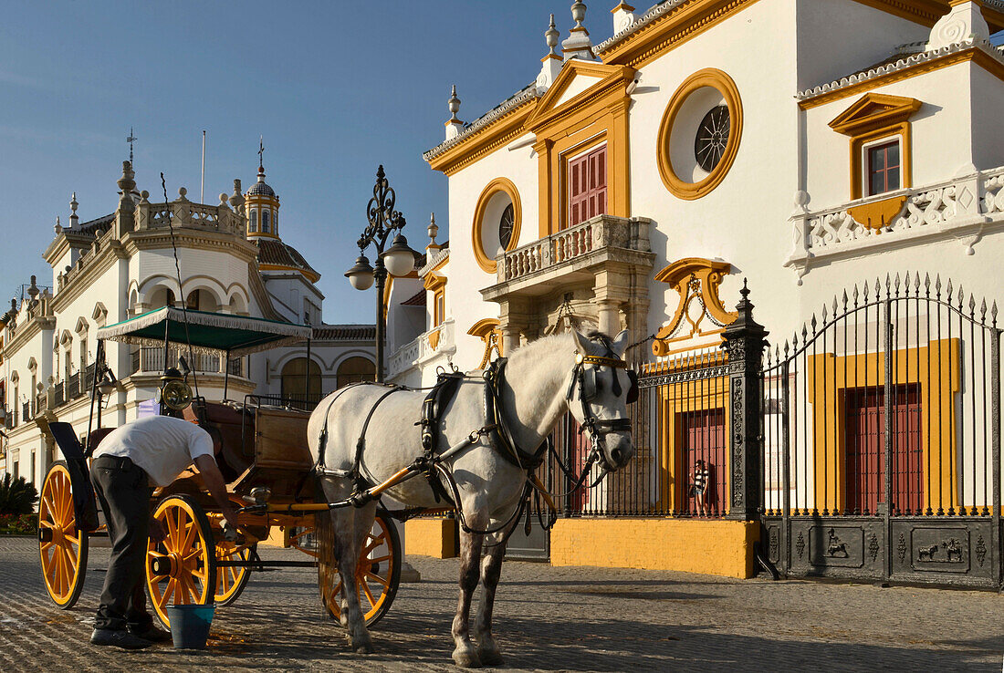 Horse drawn carriage in front of La Maestranza bullring, Seville, Andalusia, Spain