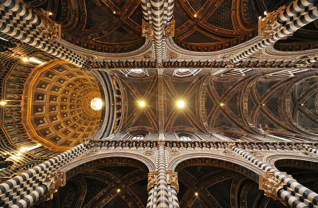 Deckengewölbe im Dom, Siena, Toskana, Italien, Europa