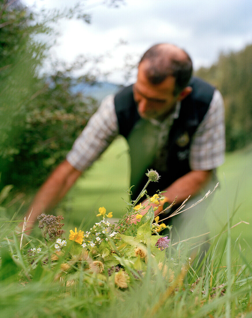 Herbalist, Bezau, Bregenzerwald forest, Vorarlberg, Austria