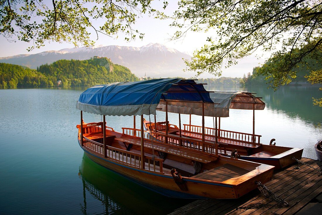 Lake Bled flat bottomed barge called a Pletna  Lake Bled Slovenia
