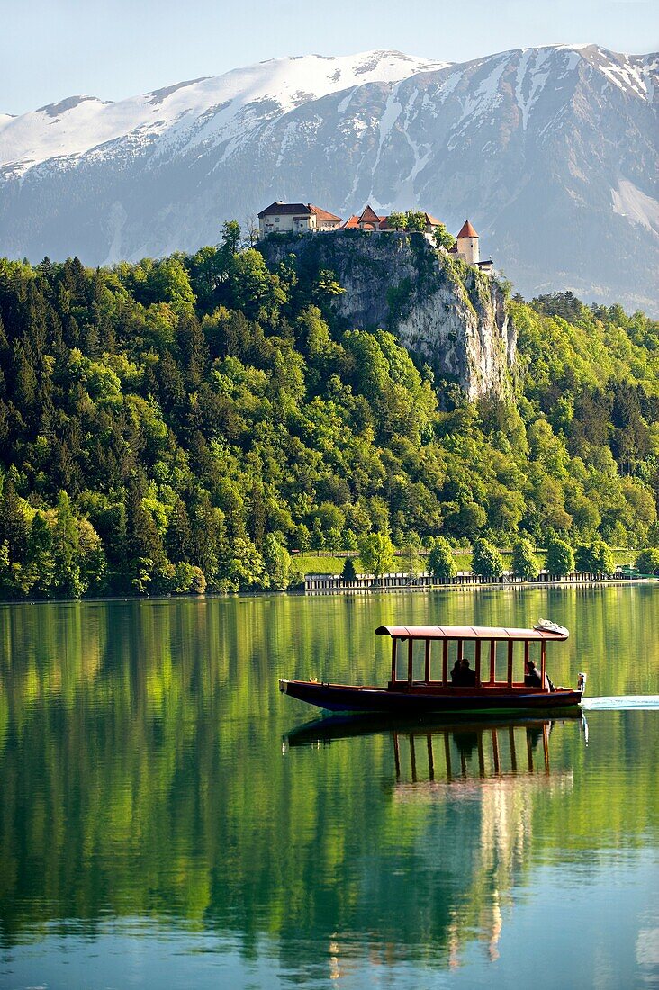 Lake Bled with Bled castle and a flat bottomed boat called a Pletna Bled Slovania