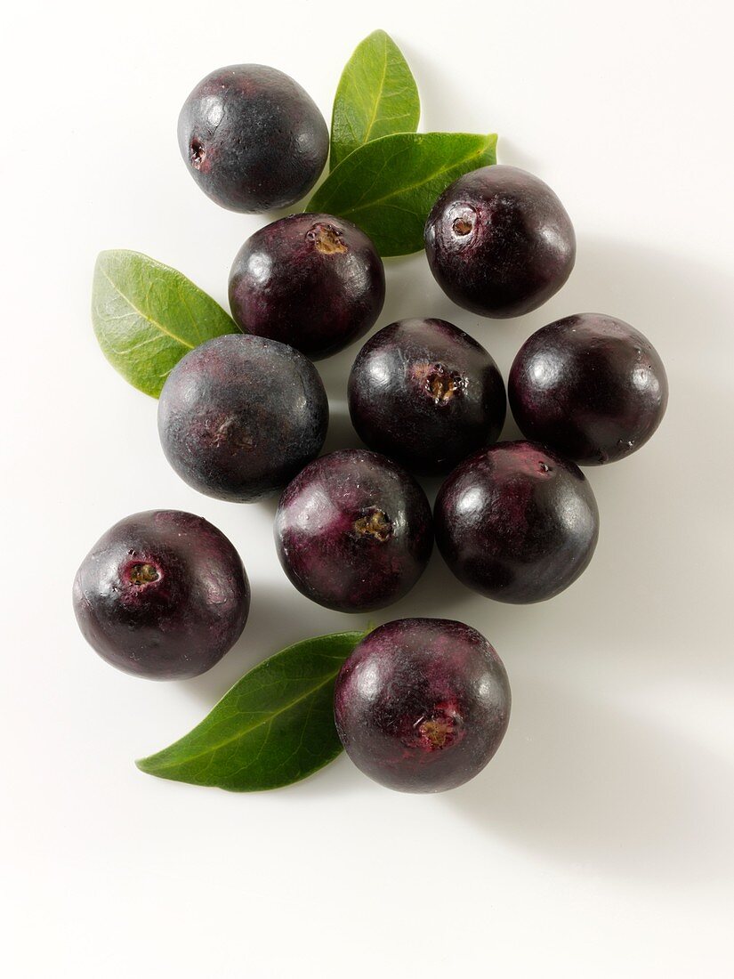 Acai Berries anti oxident fruit loose on a white background ready to cut out