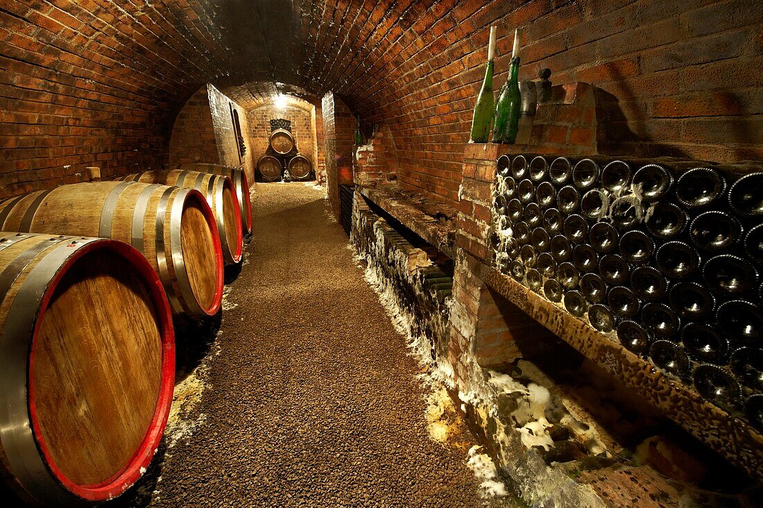 Kovacs wine cellars,  wine barrels and bottles Kovács Borház Hajos Hajós, Hungary