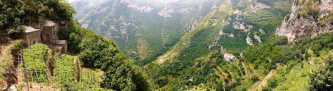 Amalfi, Ferienort, Gott, Horizontal, Italien, italienisch, Küste, Meer, Niemand, Position, Rebe, Reise, Süden, Tag, Wahrzeichen, YL2-1205658, AGEFOTOSTOCK