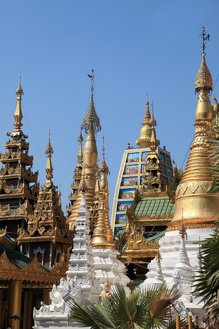 Myanmar, Burma, Yangon, Rangoon, Shwedagon Pagoda