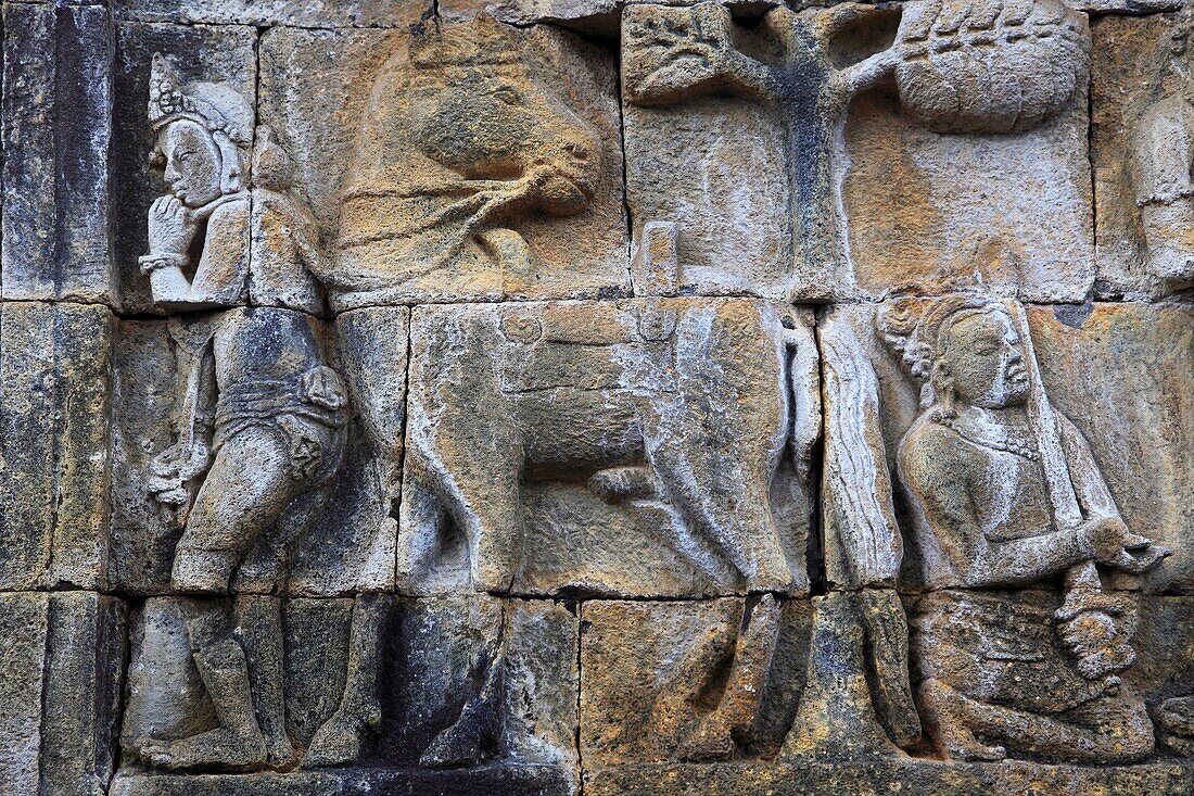 Indonesia, Java, Borobudur Temple, sculpture, stone carving, relief, detail