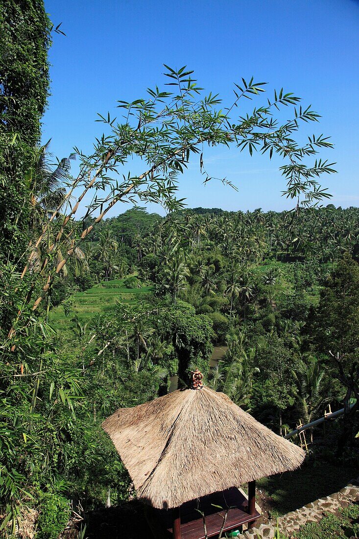 Indonesia, Bali, Sayan, Ayung River Valley, landscape