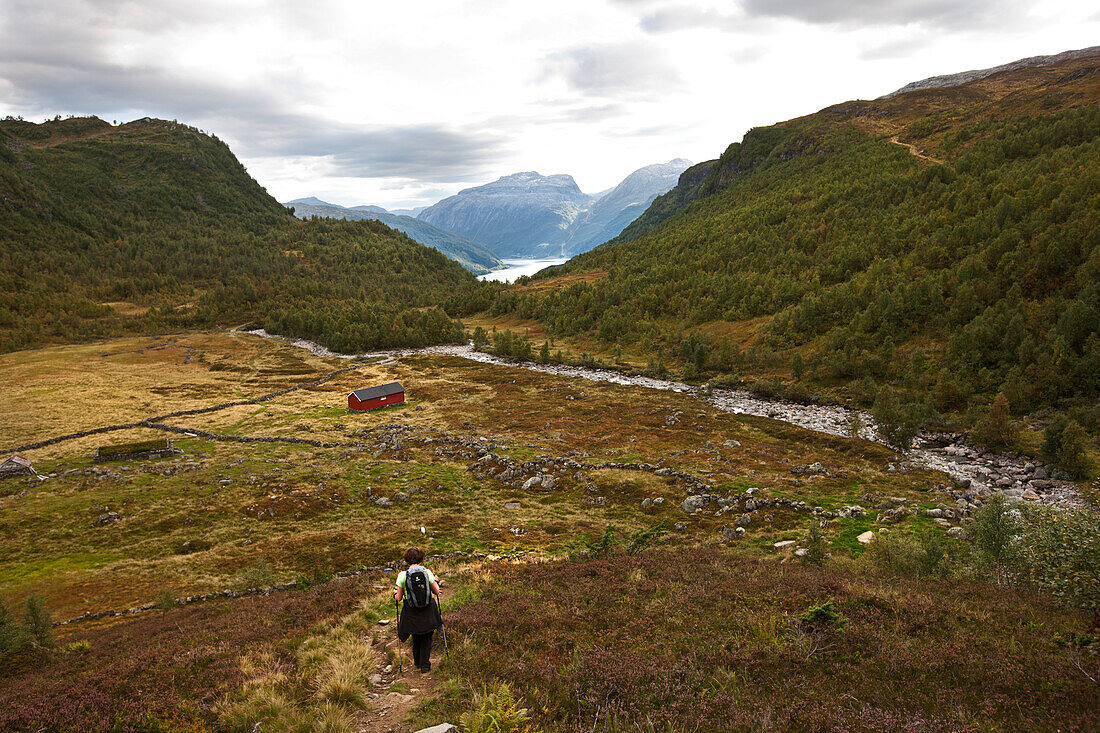 Ältere Frau wandert bei Roldal, Roldalsfjellet, Fjell, Hordaland, Süd Norwegen, Skandinavien, Europa