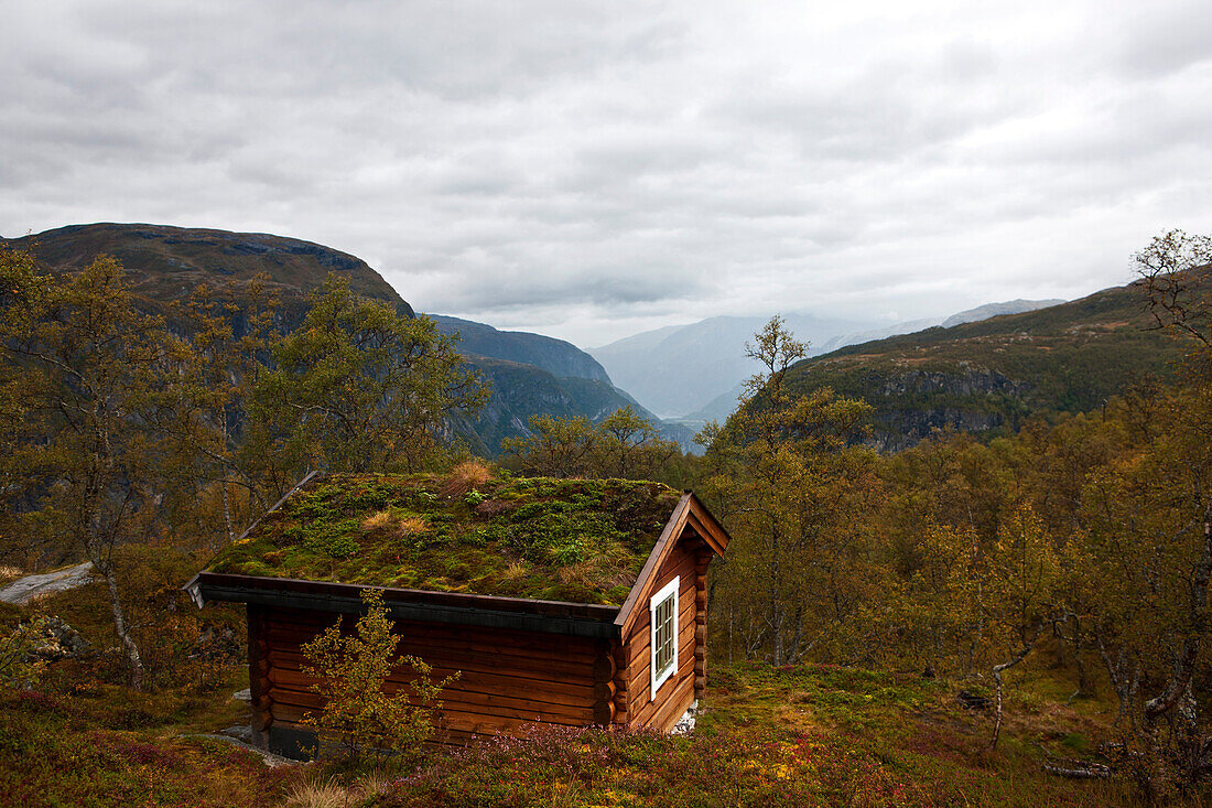 Holzhütte mit Moosdach in Felslandschaft, nahe Eidfjord, Hordaland, Norwegen, Skandinavien, Europa