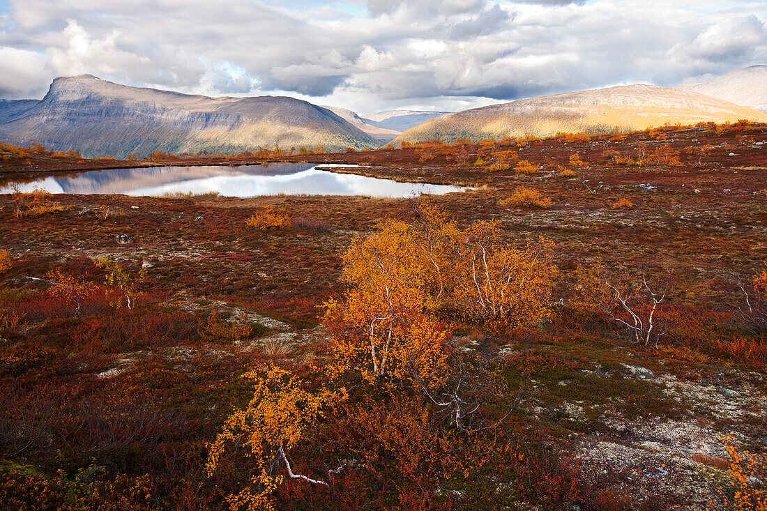 Landschaft nördlich vom Polarkreis, Saltdal, Lonsdal, nahe bei Mo i Rana, Junkerdalen Nationalpark, Wandertour, Herbst, Fjell, Nordland, Norwegen, Skandinavien, Europa