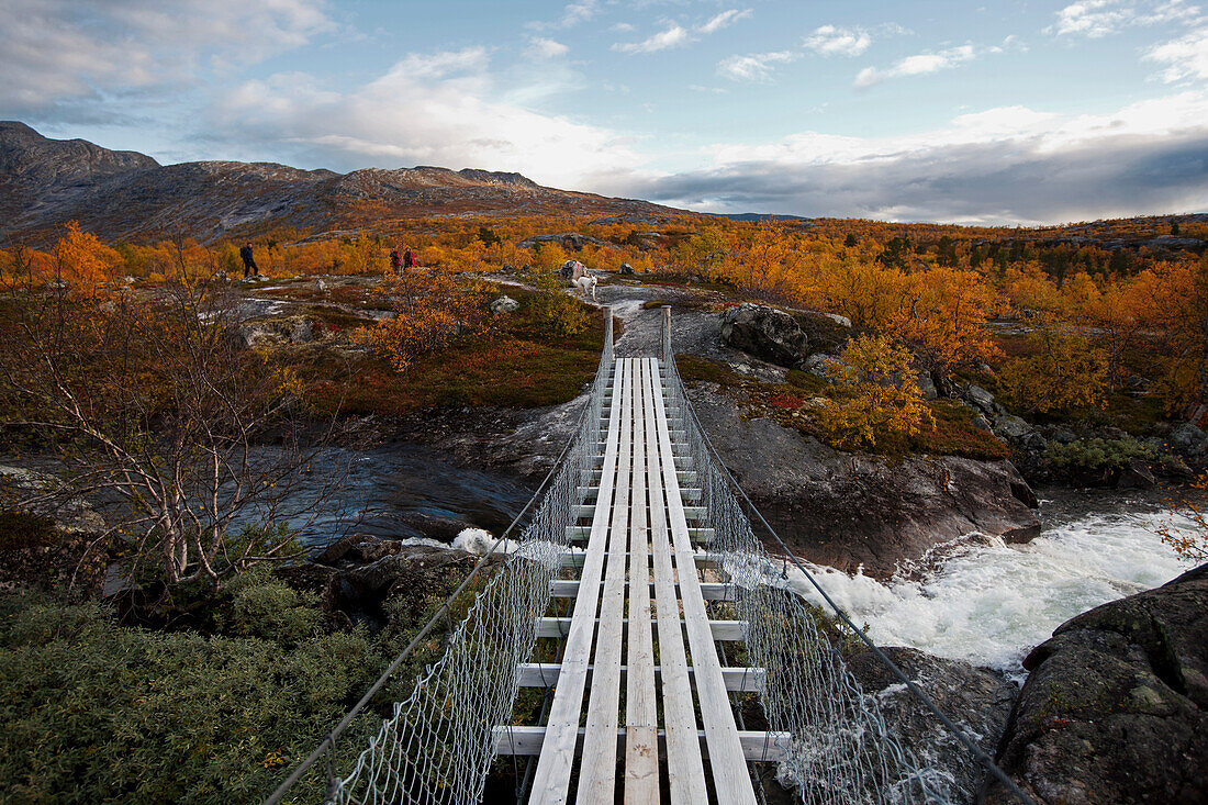 Wooden swing bridge across a river in a rocky landscape with birch trees north of the arctic circle, Saltdal, Junkerdalen national park, trekking tour in Autumn, Fjell, Lonsdal, near to Mo i Rana, Nordland, Norway, Scandinavia, Europe
