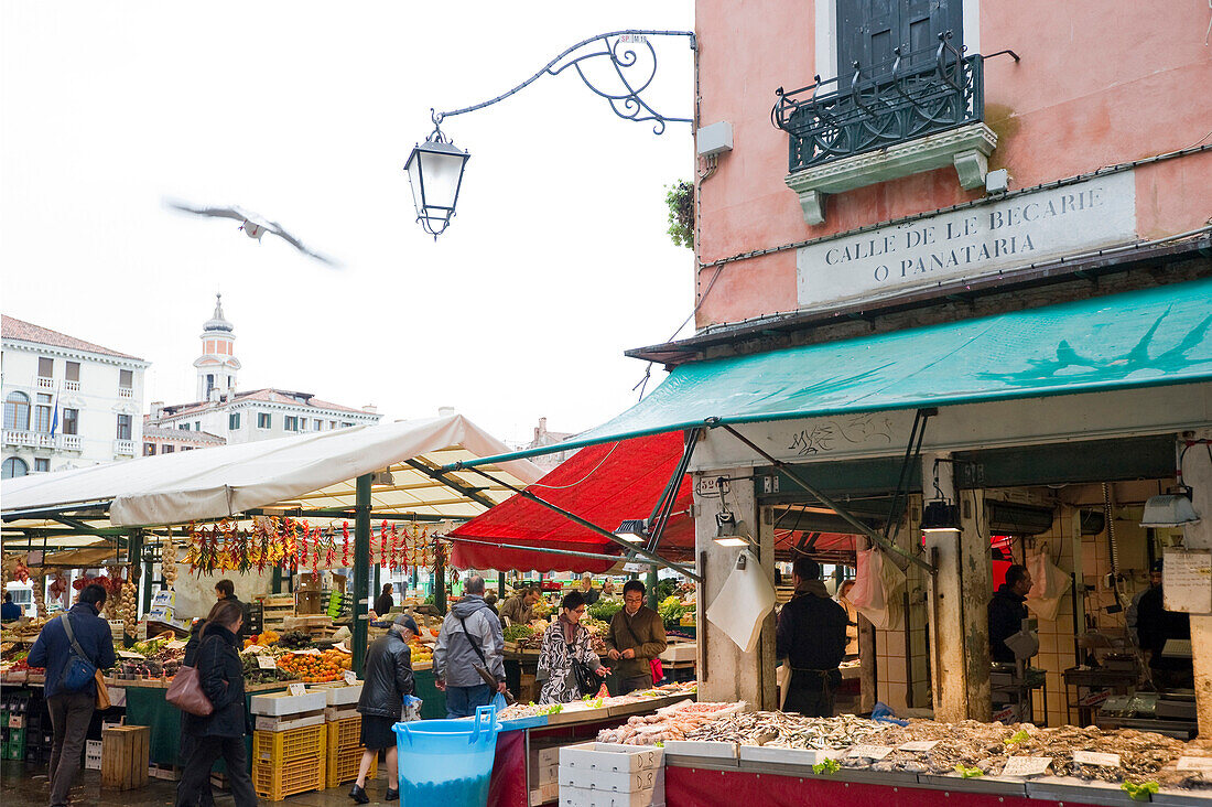 Market near Rialto Bridge, Venice, Veneto, Italy