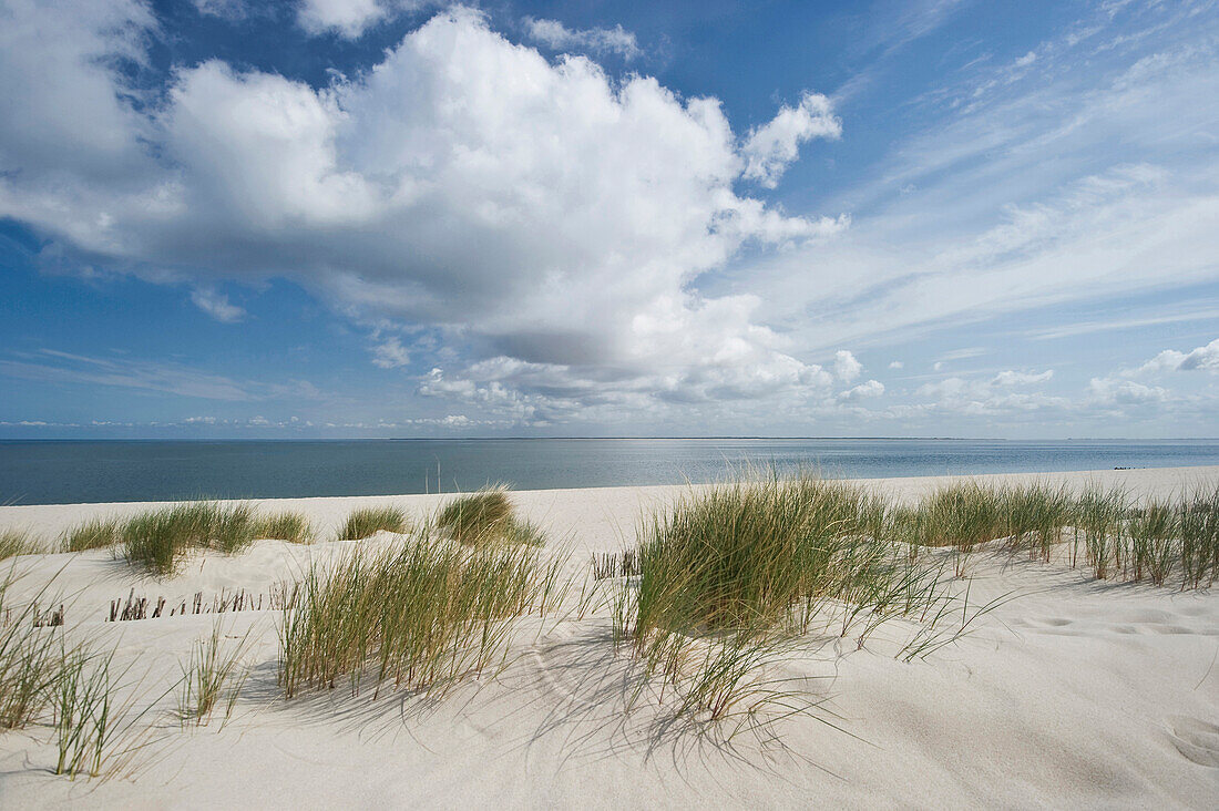 Sandy beach near List, Sylt, Schleswig-Holstein, Germany