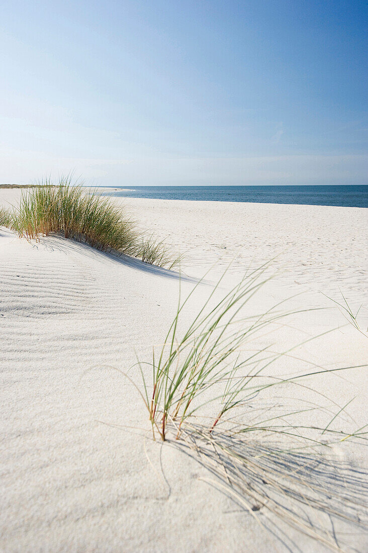 Sandy beach near List, Sylt, Schleswig-Holstein, Germany
