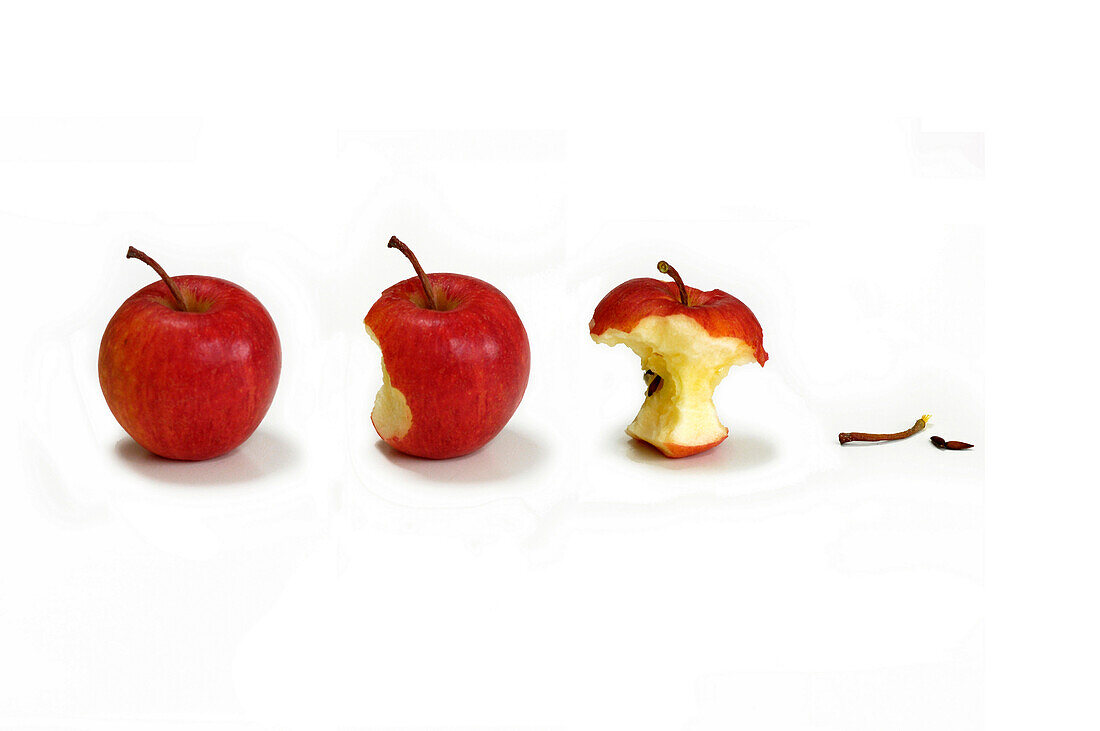Eating Away at An Apple, Autumn Fruit, the Different Stages in Life