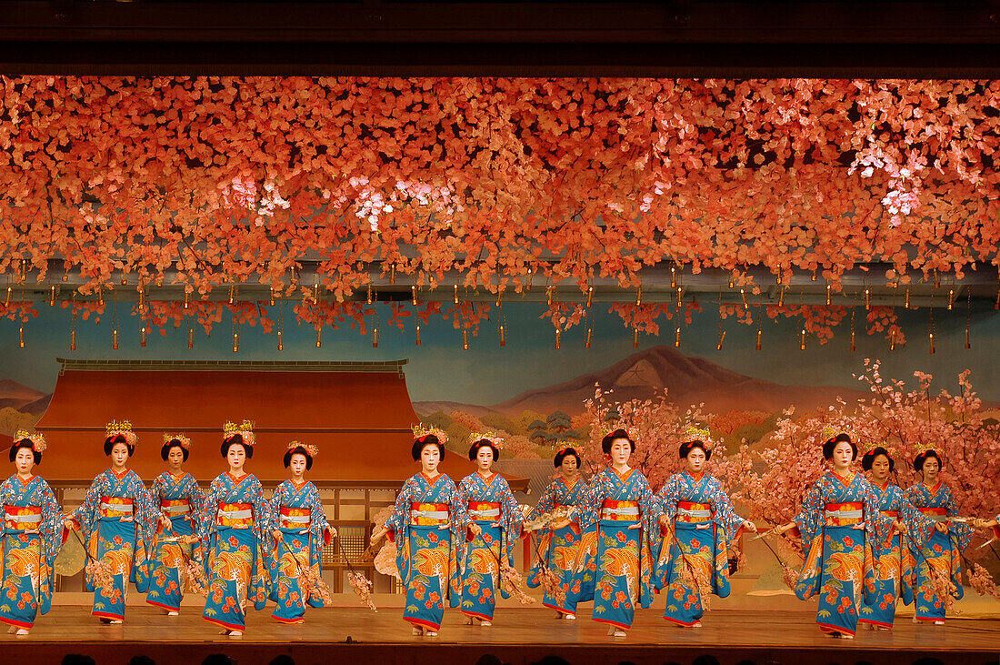 The Cherry Tree Dance Performed By the Dancing Geikos and Maikos (Tachikata), Miyako-Odori Show at the Kaburenjo Theatre of Traditional Dance, Gion Kobu District, Kyoto, Japan, Asia