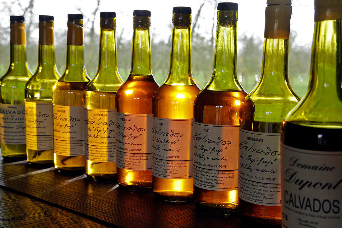 Bottles of Calvados at the Family-Owned Estate Domaine Louis Dupont, Village of Victot-Pontfol, the Cider Road, Calvados (14), France