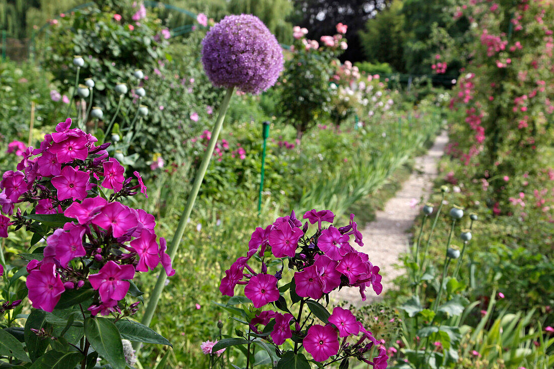 The Path in the Impressionist Painter Claude Monet's Garden Called the Clos Normand, Giverny, Eure (27), France