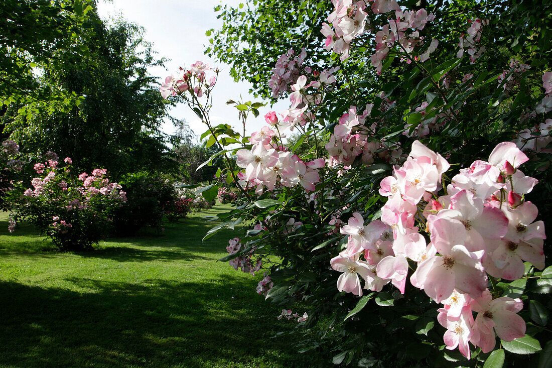 Heaven, a Theme Inspired By Dante, in the Contemporary Garden at the Chateau De Miserey, Eure (27), France